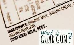 What-is-Guar-Gum